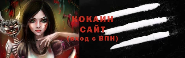 крисы Ростов