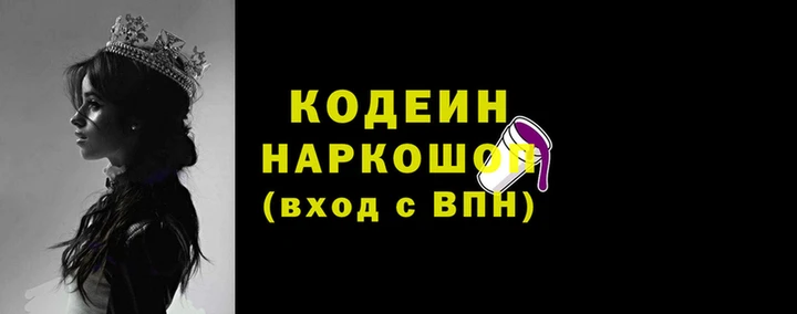крисы Ростов