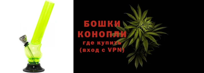 крисы Ростов