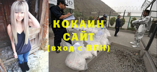 крисы Ростов