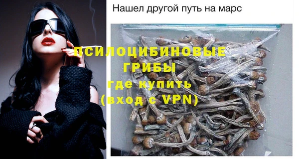 амф Рославль
