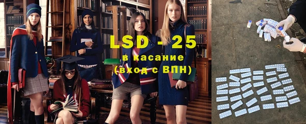 крисы Ростов