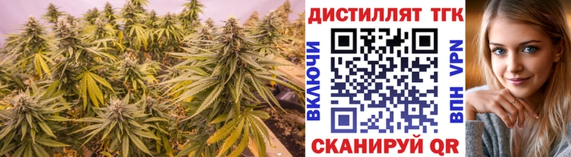 omg зеркало  Снежногорск  ТГК концентрат 