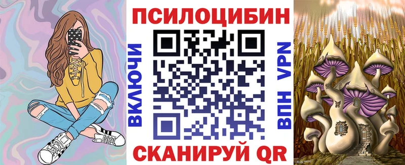 хочу наркоту  ссылка на мегу tor  Псилоцибиновые грибы GOLDEN TEACHER  Снежногорск 